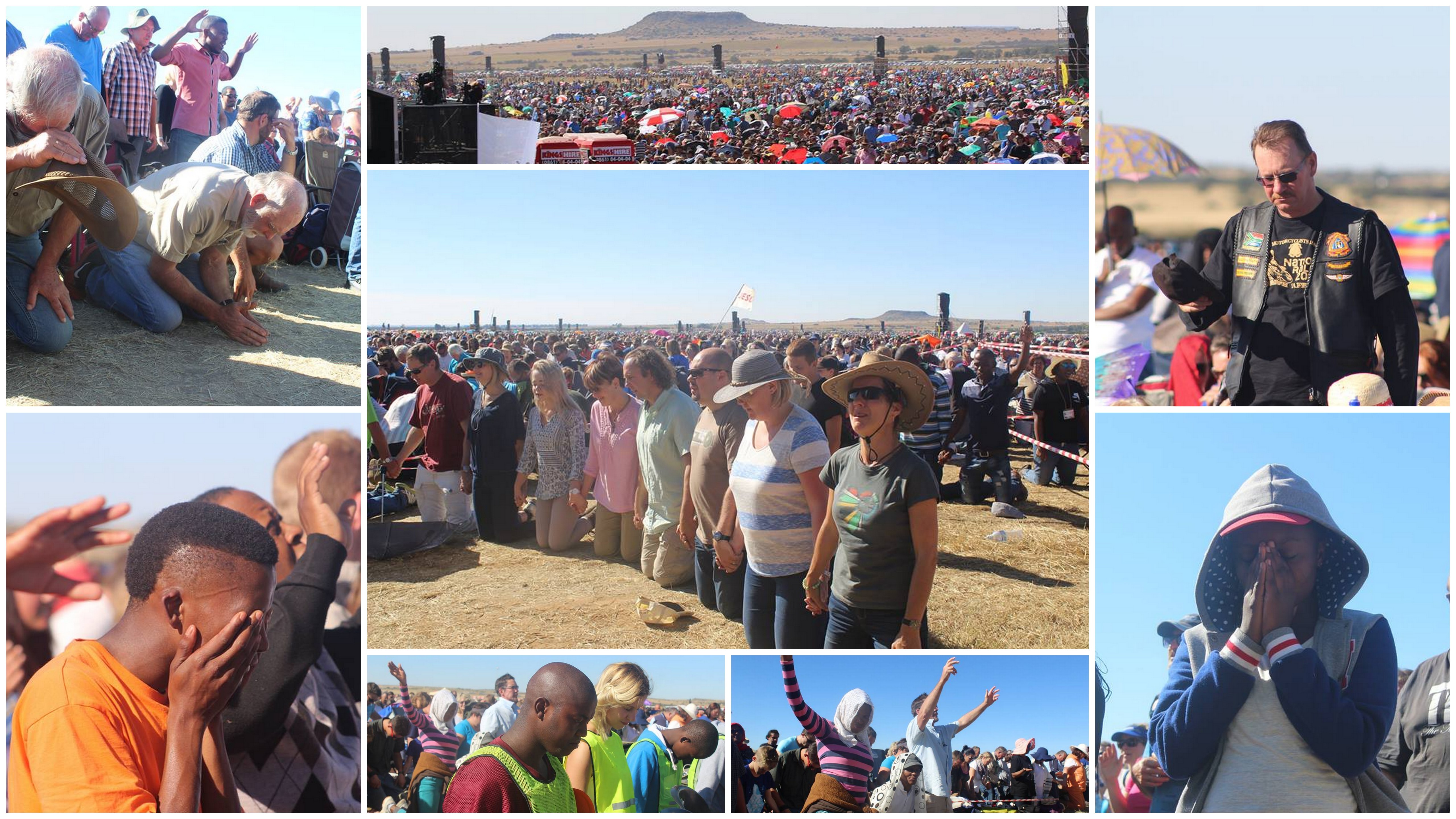 Search results for blog